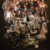 SoulDance Bachata & Salsa Festival Vol.6 – February 2026