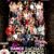 BCN Dance Life BACHATA CONGRESS 2025